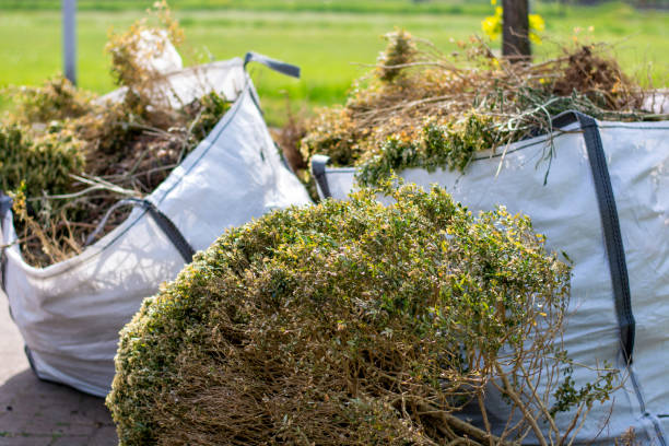 Best Trash Removal Near Me  in Pingree Grove, IL